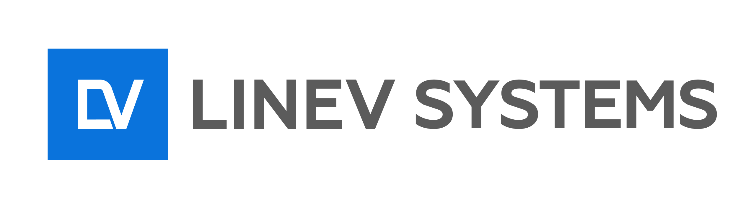 Linev Systems Logo